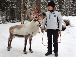 Reindeer